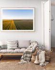 Faris - Mingenew Wall Art - Digital Download