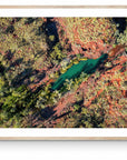 Graham - Framed Print - Tim Rainer Photography