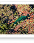 Graham - Framed Print - Tim Rainer Photography
