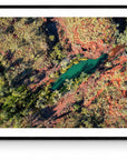 Graham - Framed Print - Tim Rainer Photography