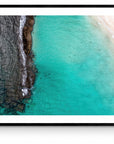 Beau - Framed Print - Tim Rainer Photography