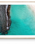 Beau - Framed Print - Tim Rainer Photography