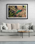 Graham - Framed Print - Tim Rainer Photography