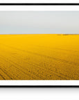 Ola - Mingenew Wall Art - Framed Print
