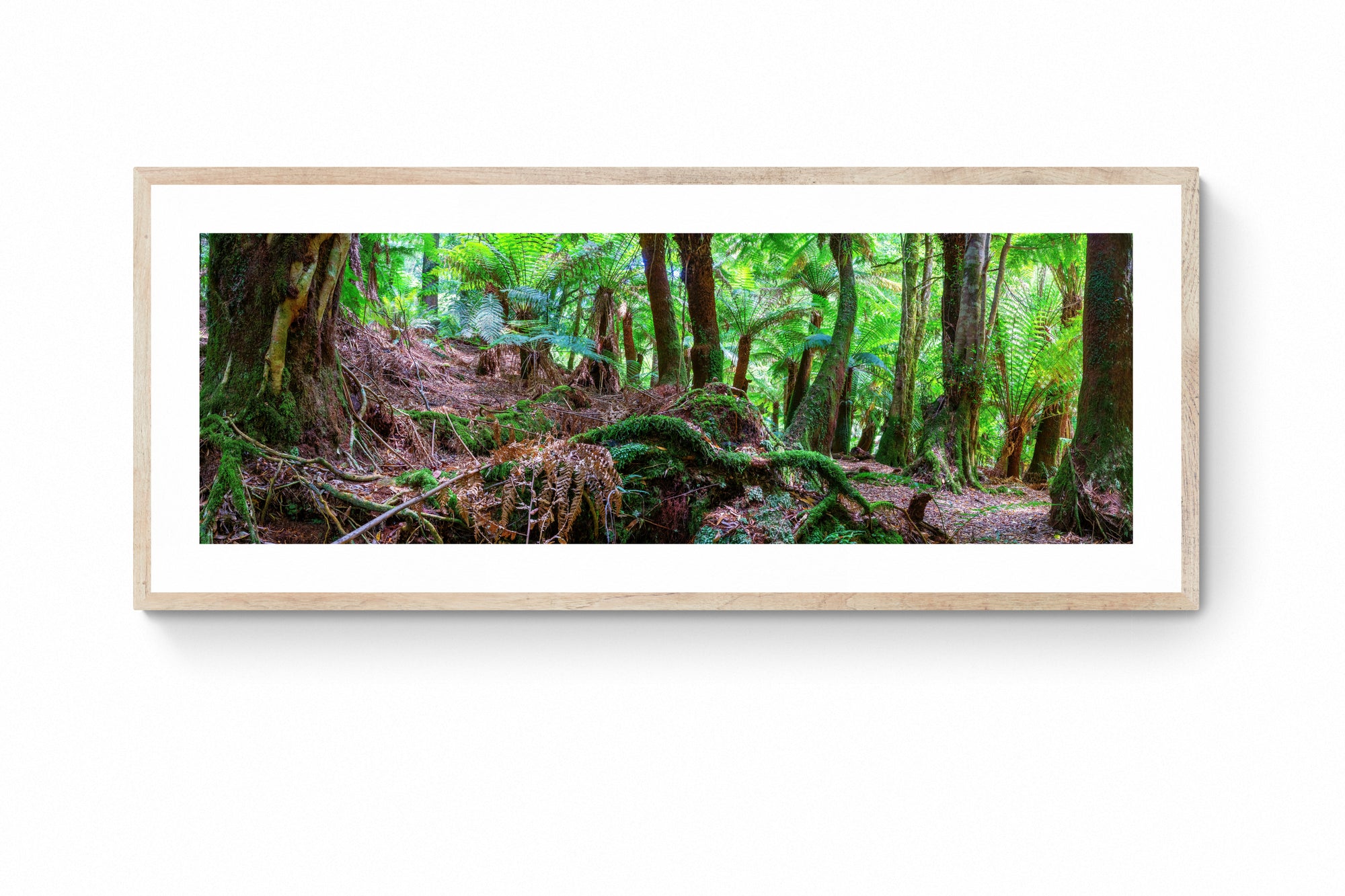 Noah - St Columba Falls Wall Art - Digital Download