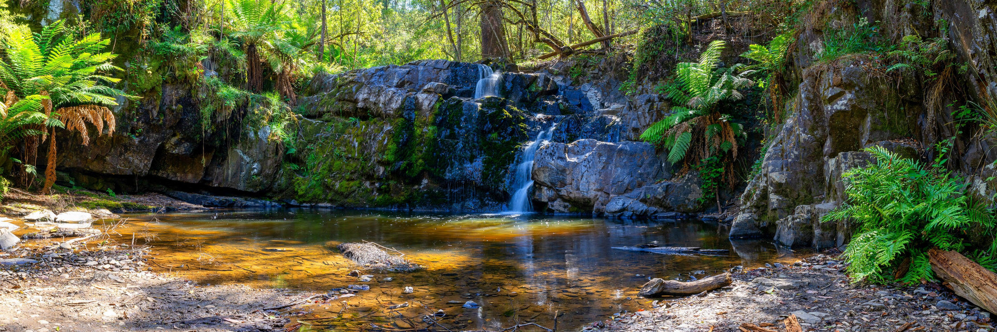 Hao - Digital Download - Tim Rainer Photography