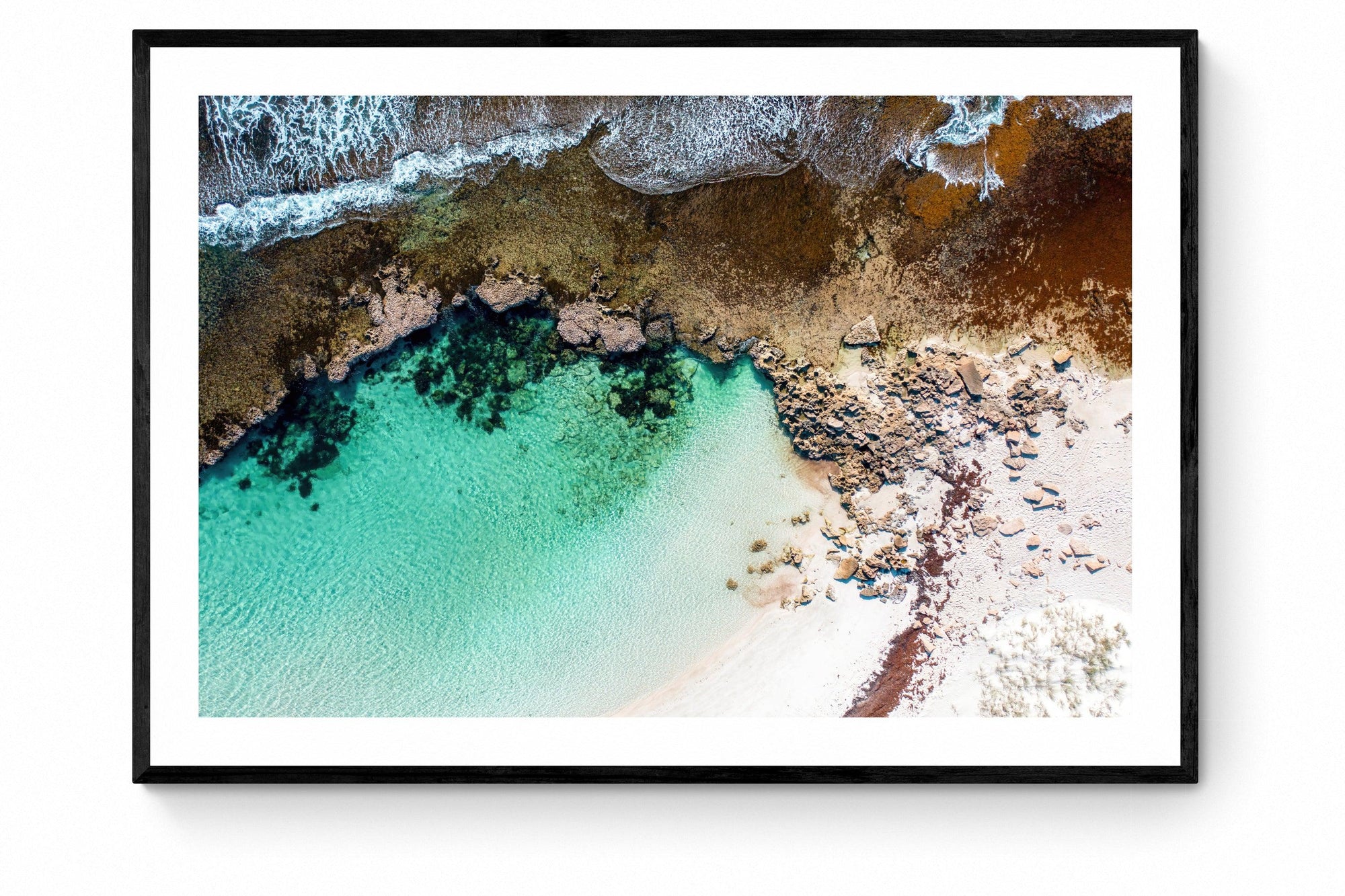 Tyrell - Framed Print - Tim Rainer Photography