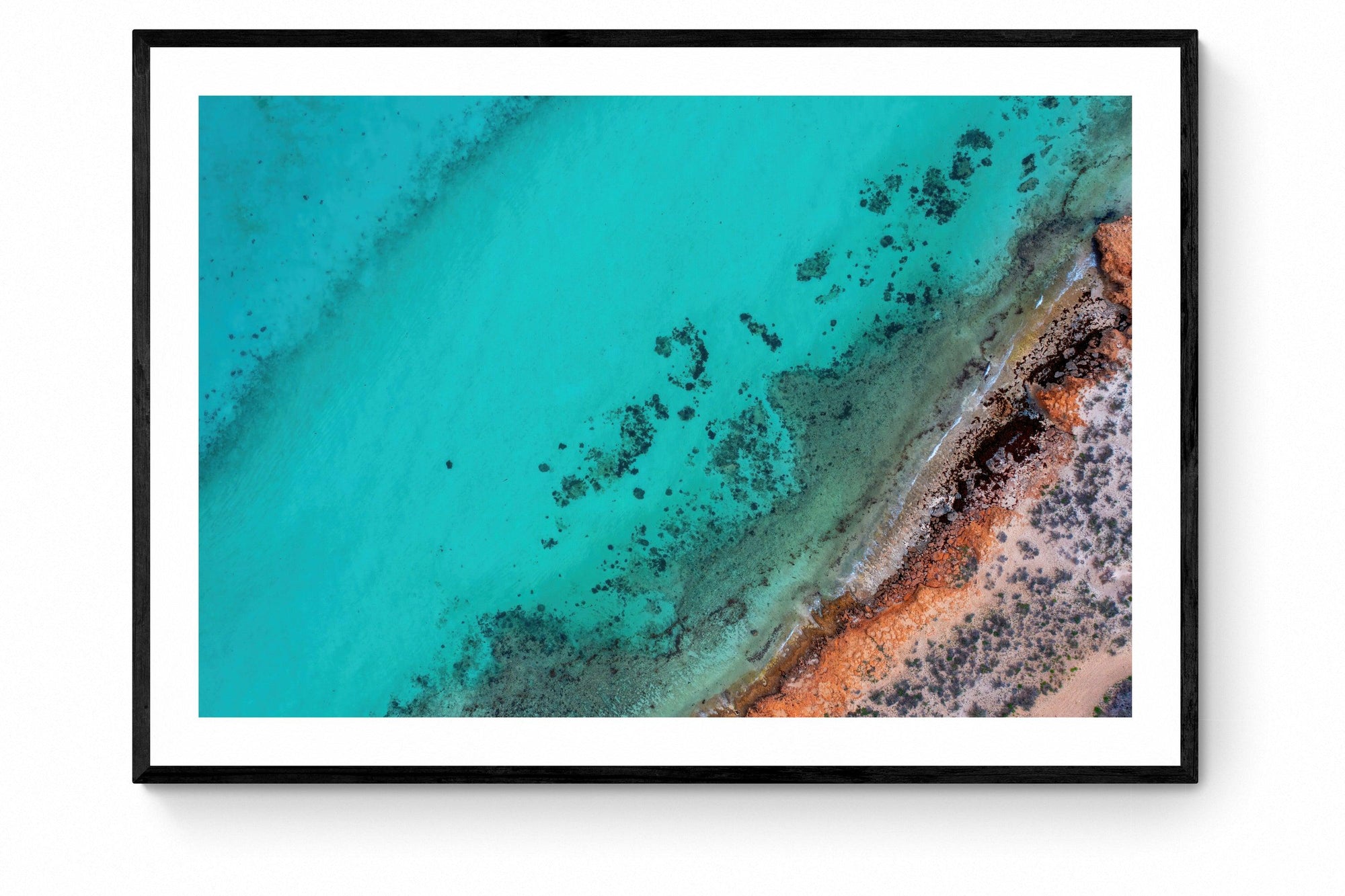 Rocky - Framed Print - Tim Rainer Photography
