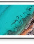 Rocky - Framed Print - Tim Rainer Photography