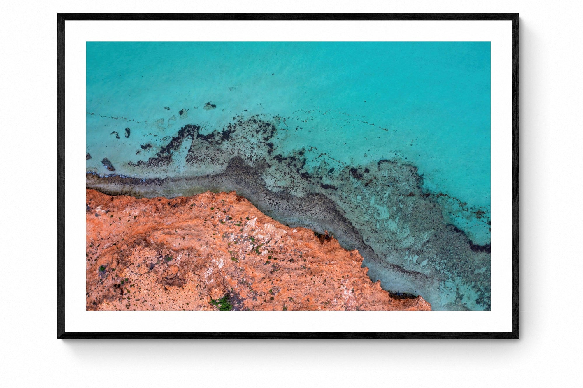 Kalen - Framed Print - Tim Rainer Photography