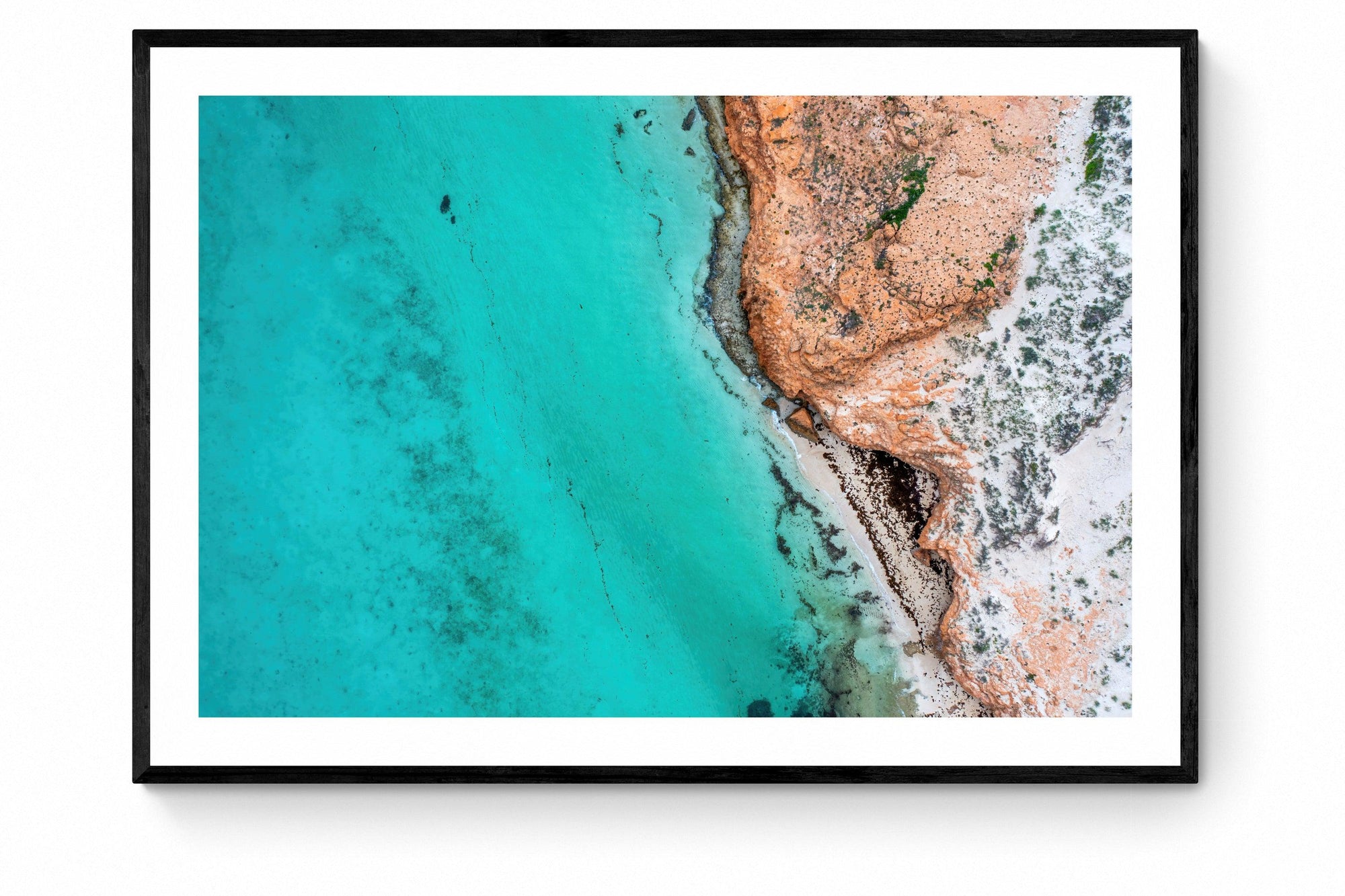 Kai - Framed Print - Tim Rainer Photography