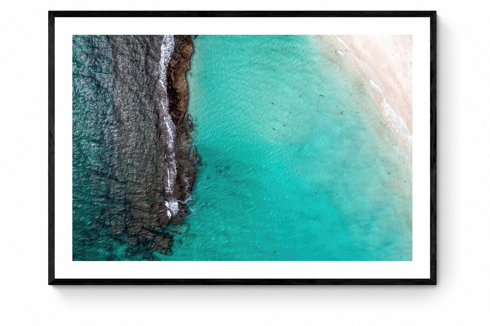 Beau - Framed Print - Tim Rainer Photography