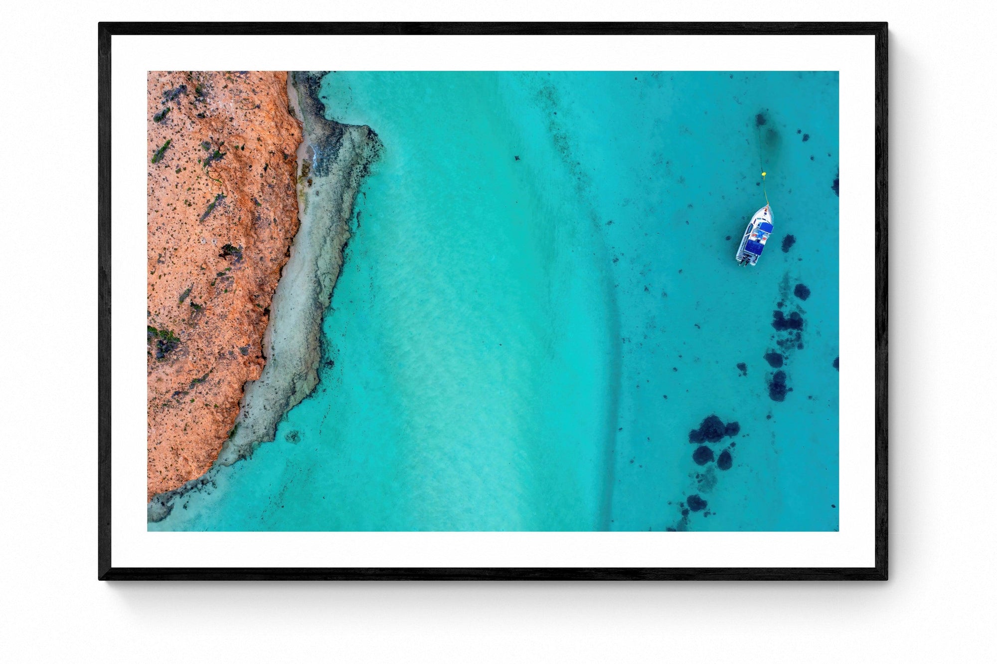 Blair - Framed Print - Tim Rainer Photography
