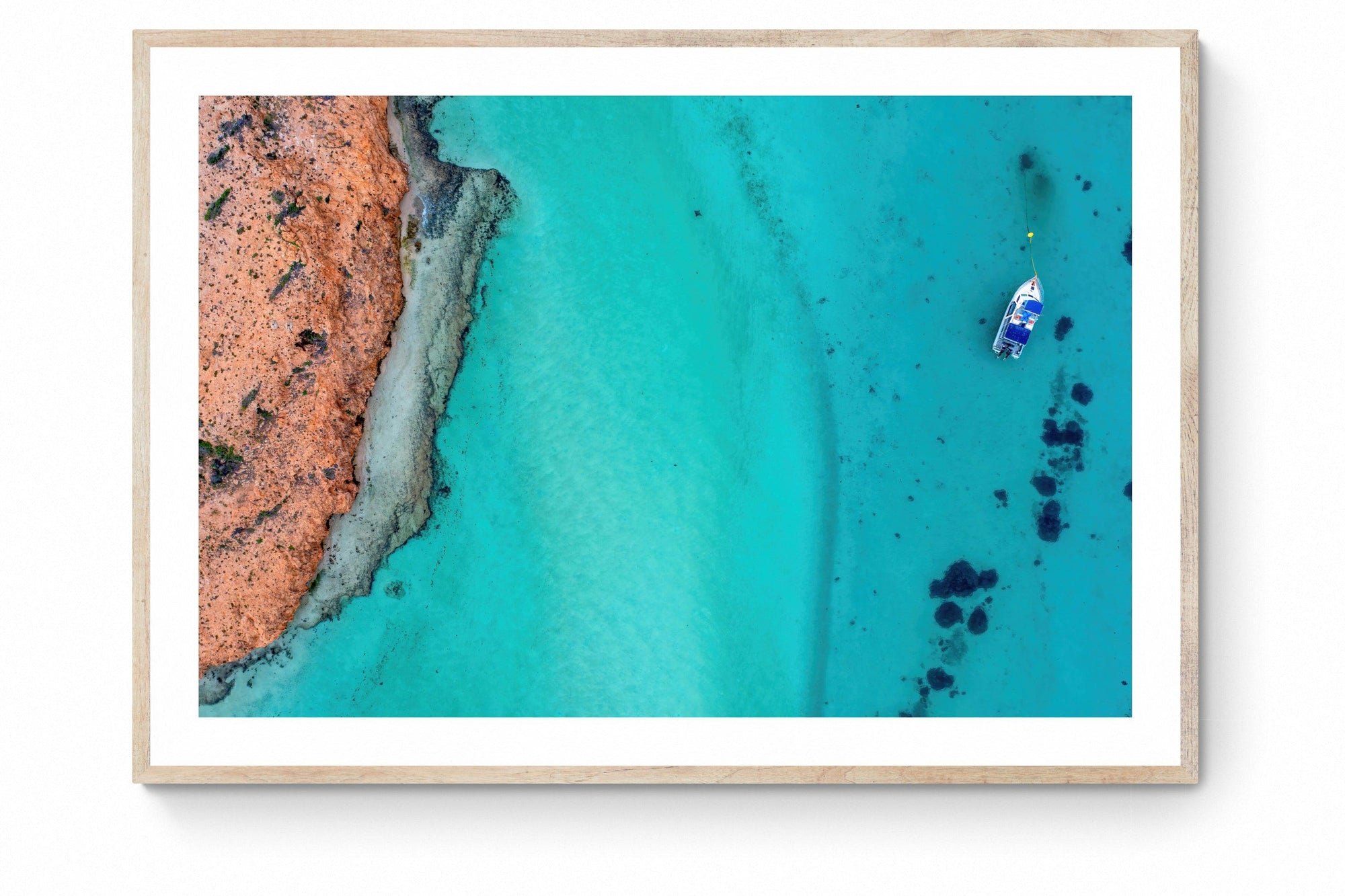 Blair - Framed Print - Tim Rainer Photography