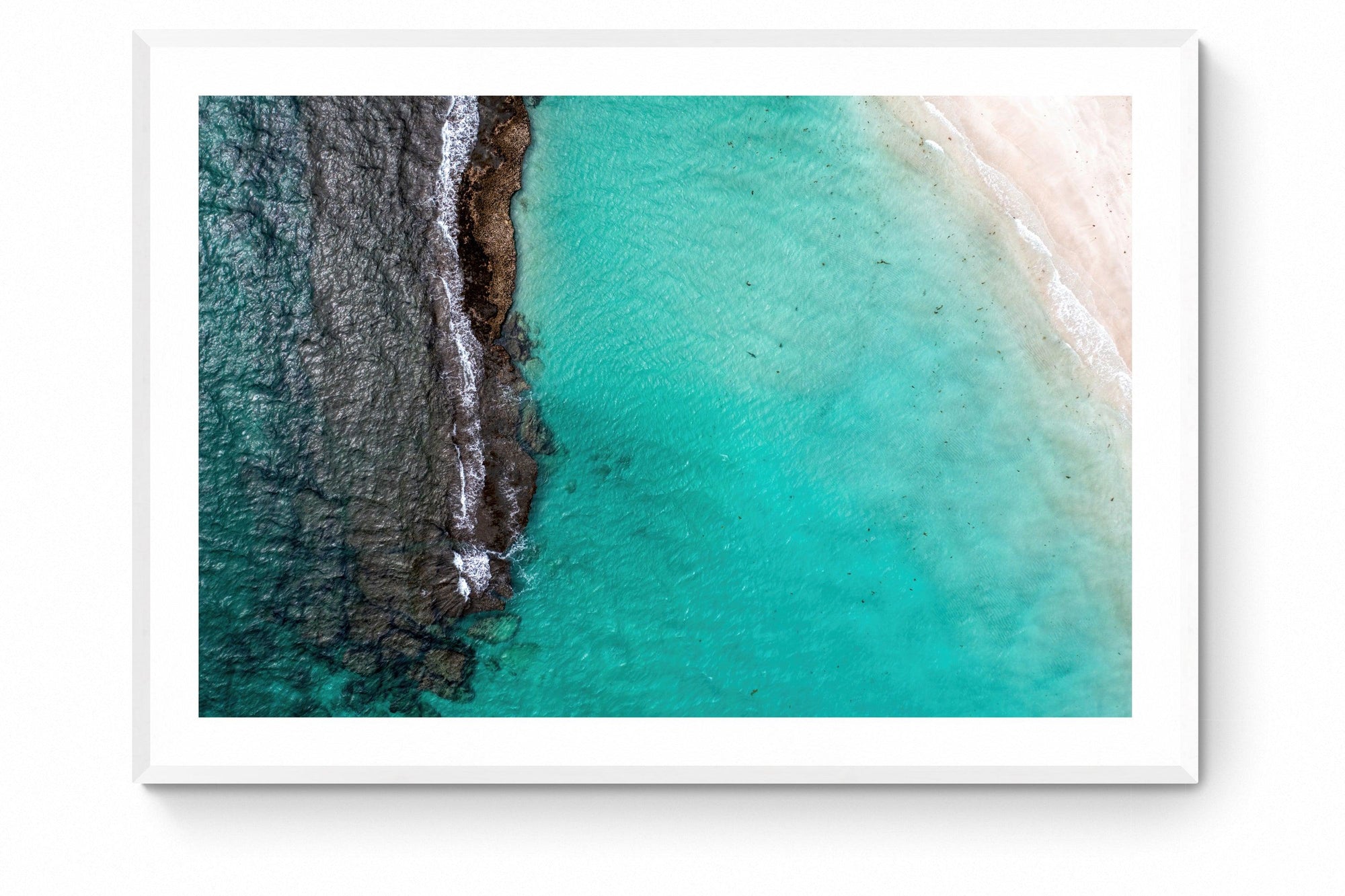 Beau - Framed Print - Tim Rainer Photography