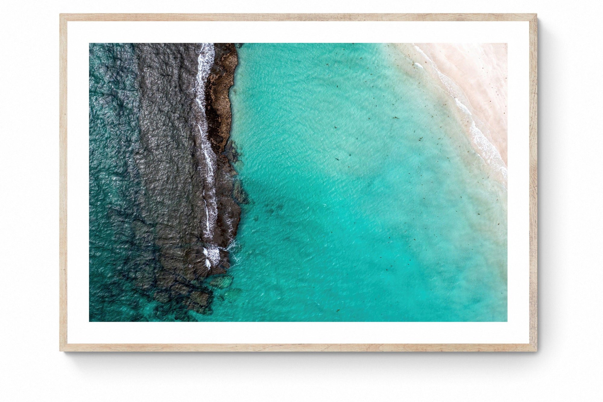 Beau - Framed Print - Tim Rainer Photography