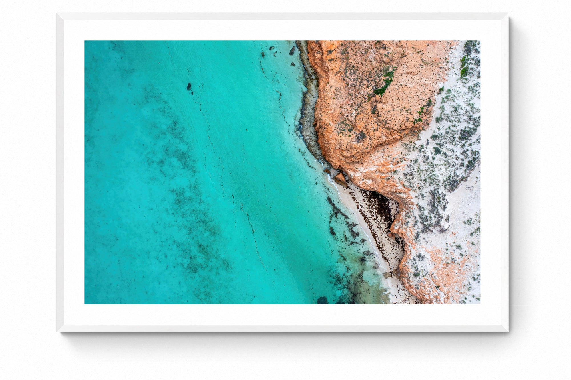Kai - Framed Print - Tim Rainer Photography