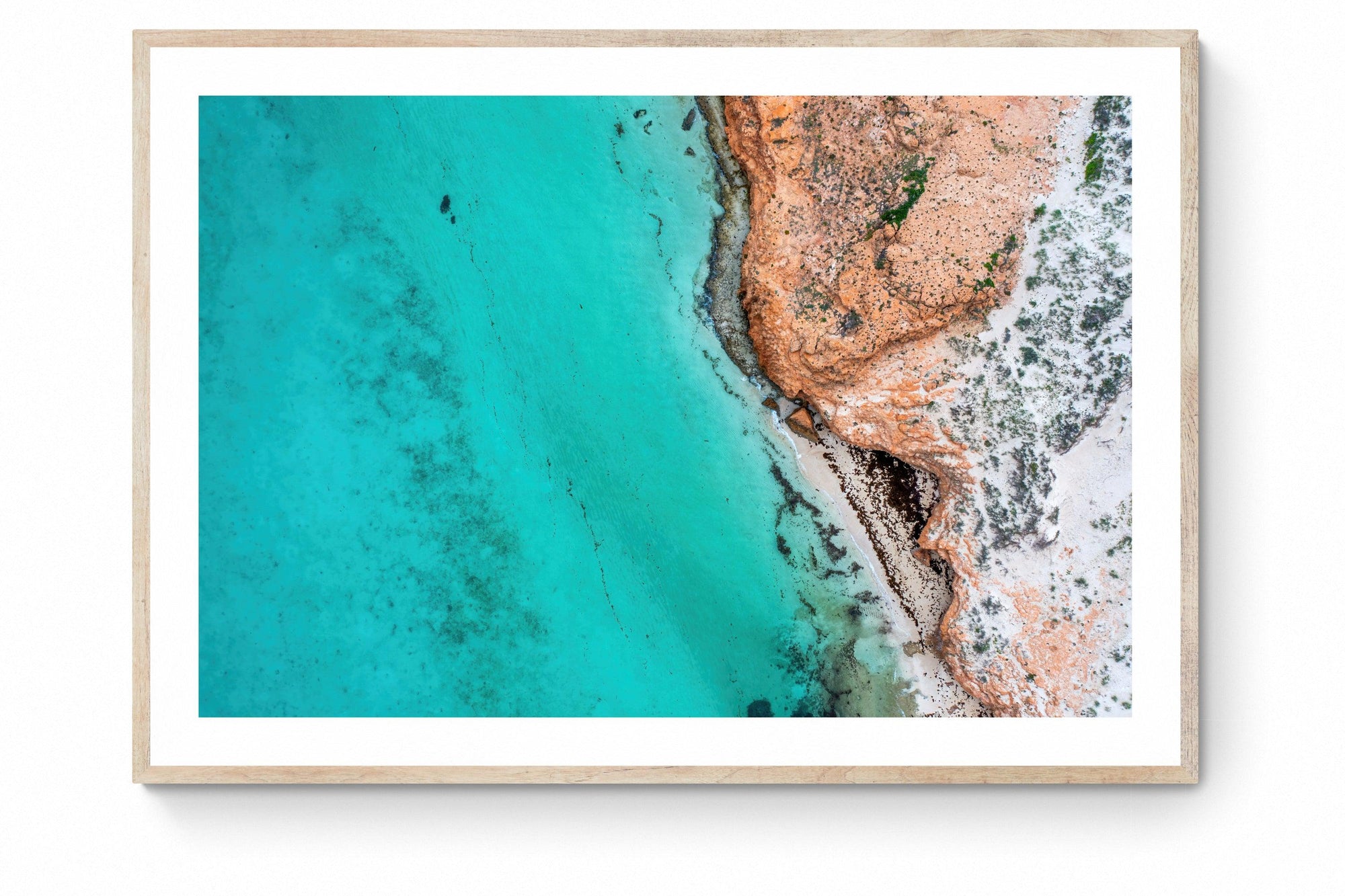Kai - Framed Print - Tim Rainer Photography