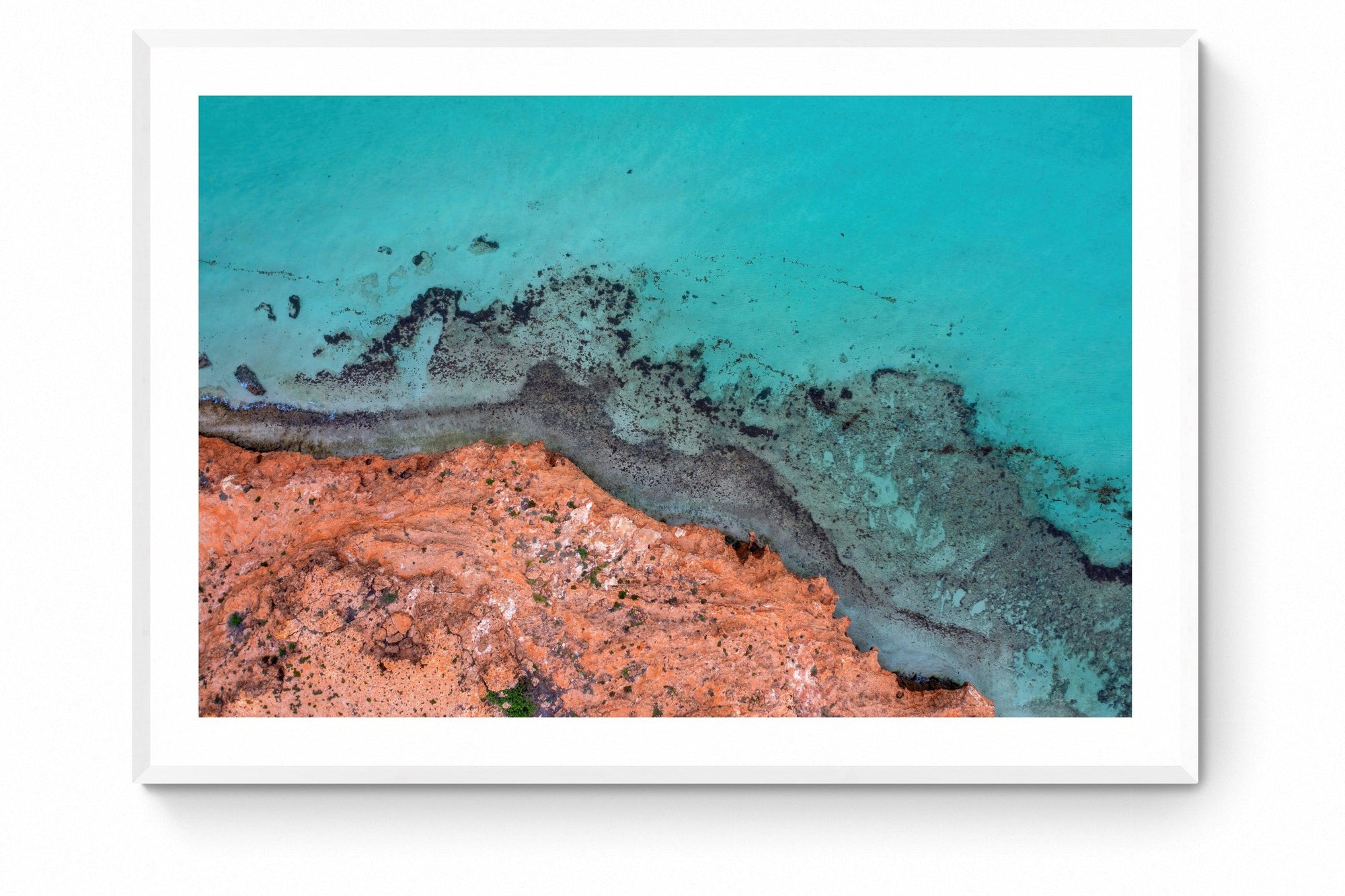 Kalen - Framed Print - Tim Rainer Photography