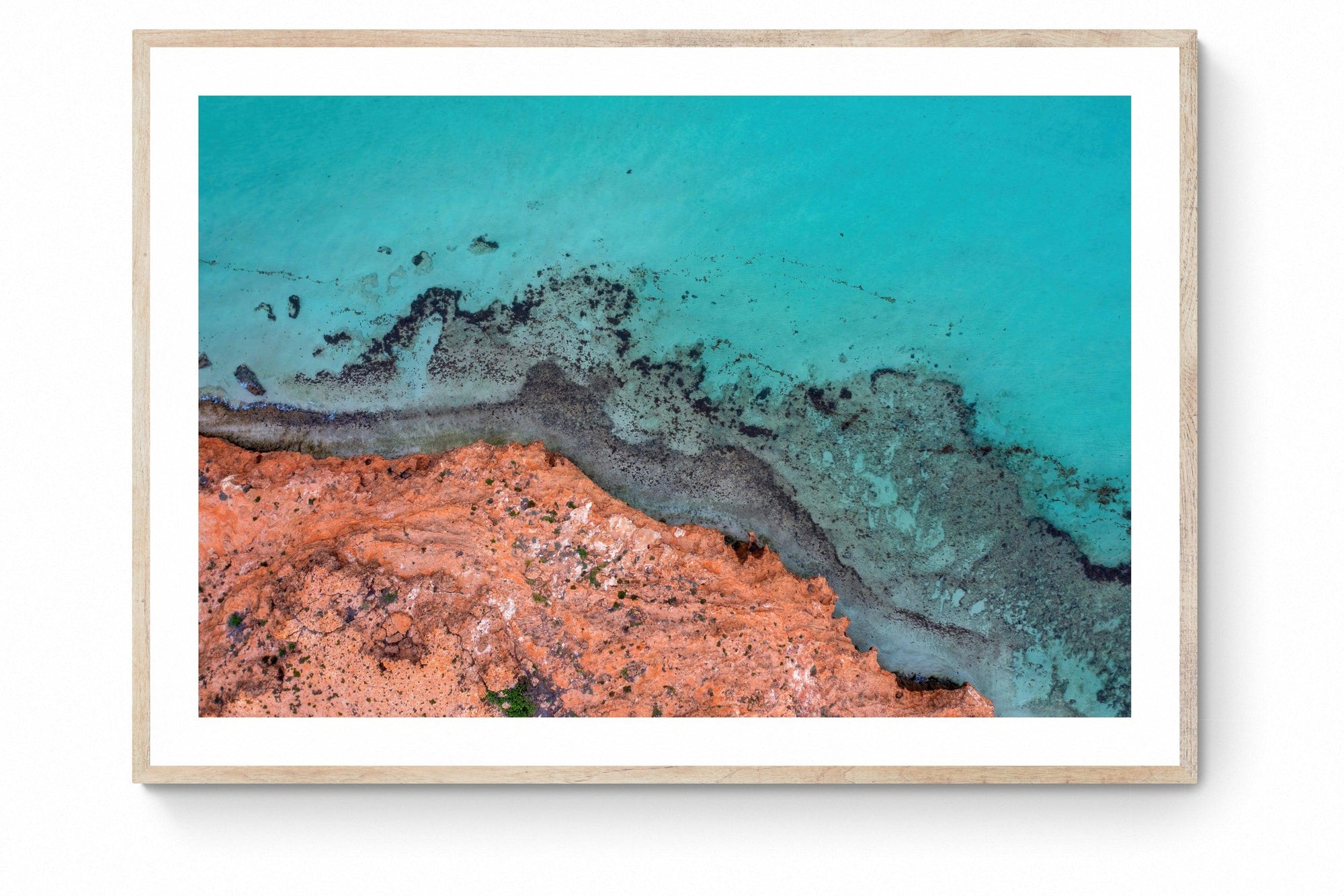 Kalen - Framed Print - Tim Rainer Photography