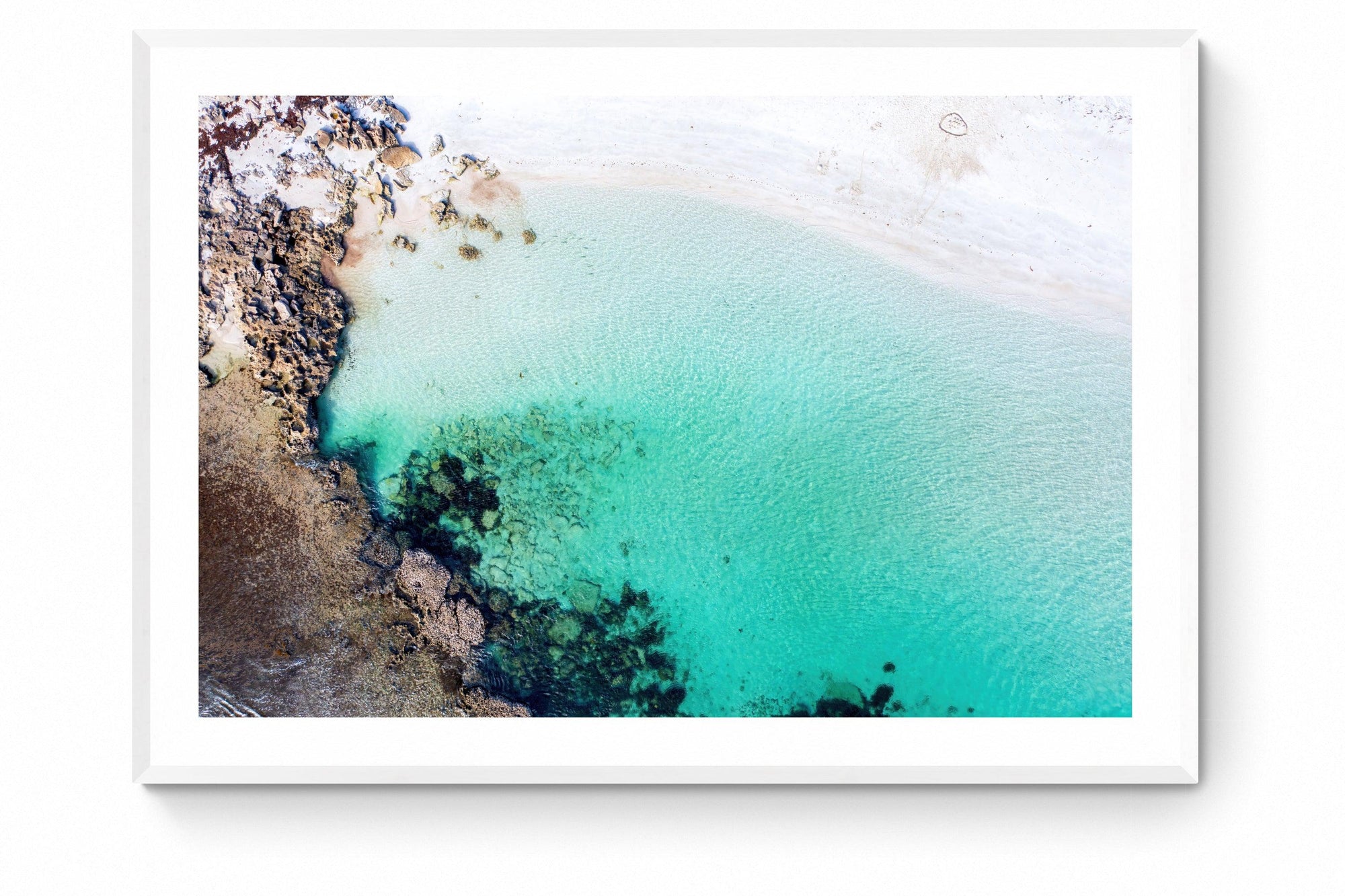 Luka - Framed Print - Tim Rainer Photography
