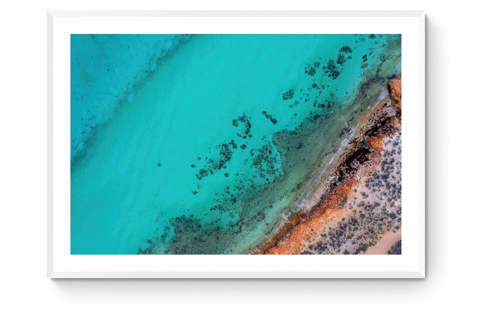 Rocky - Framed Print - Tim Rainer Photography