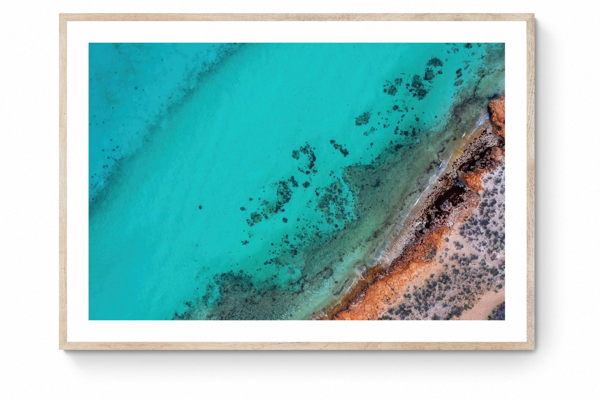 Rocky - Framed Print - Tim Rainer Photography