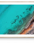 Rocky - Framed Print - Tim Rainer Photography
