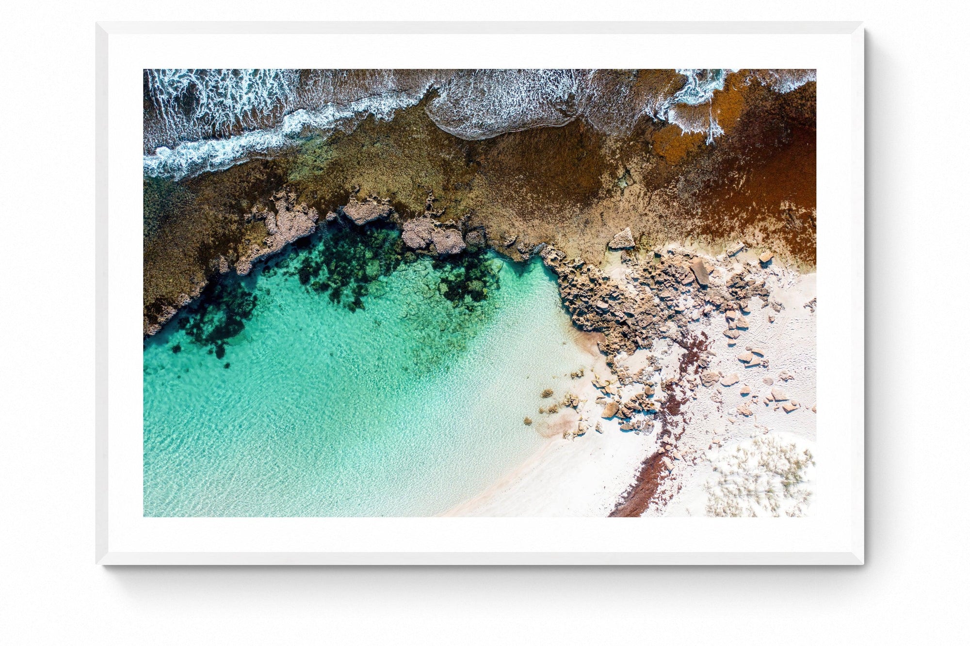 Tyrell - Framed Print - Tim Rainer Photography