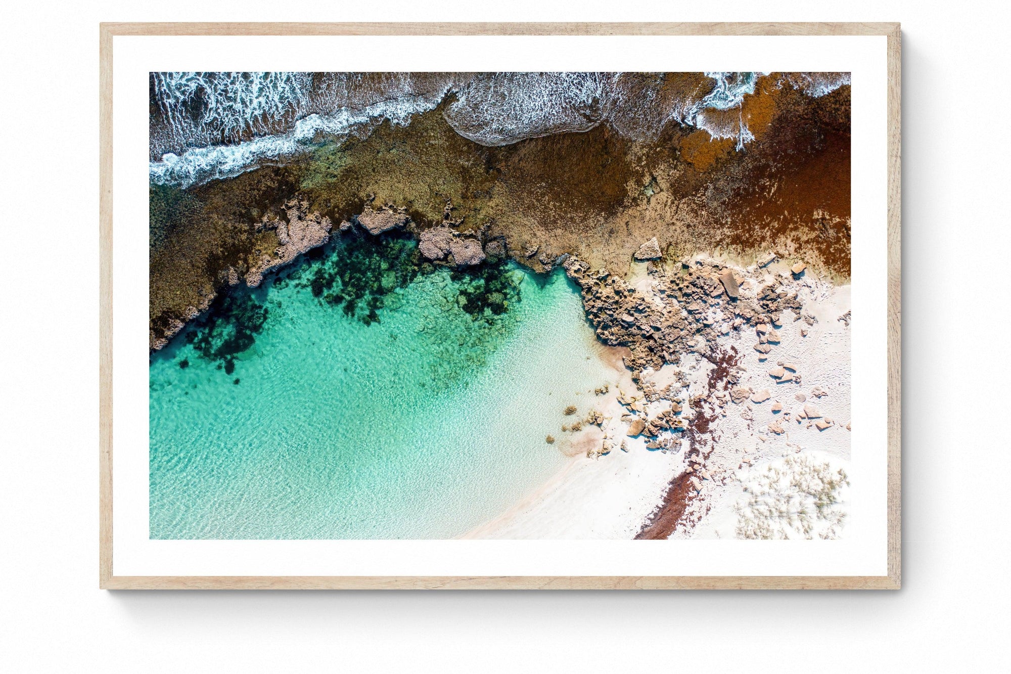 Tyrell - Framed Print - Tim Rainer Photography