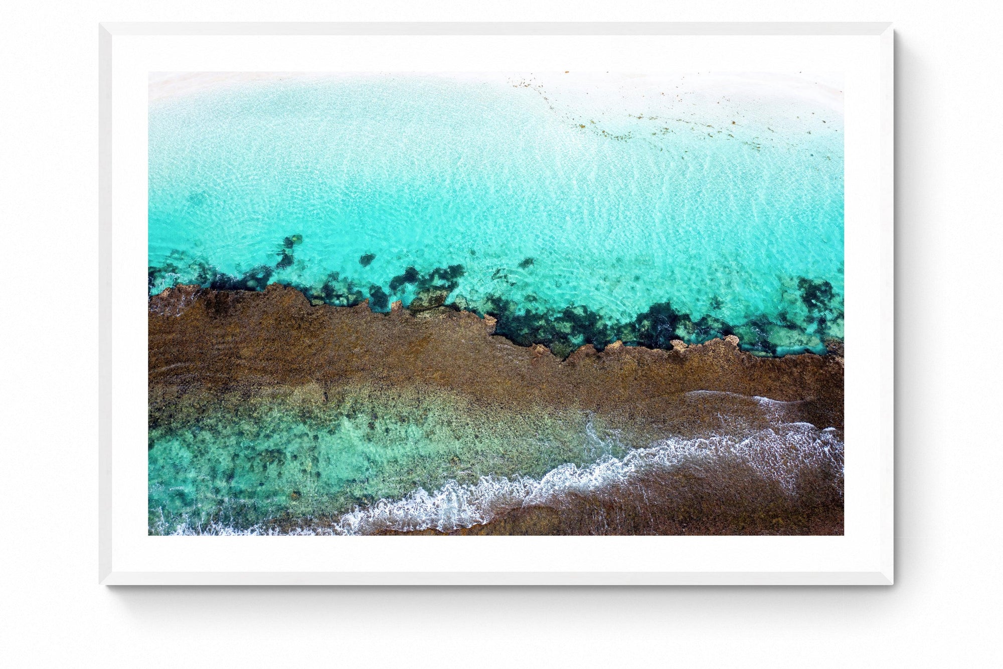 Wren - Framed Print - Tim Rainer Photography