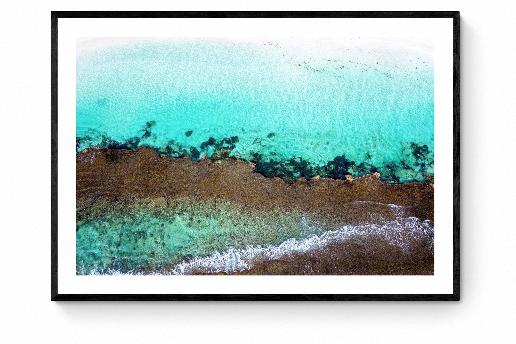Wren - Framed Print - Tim Rainer Photography