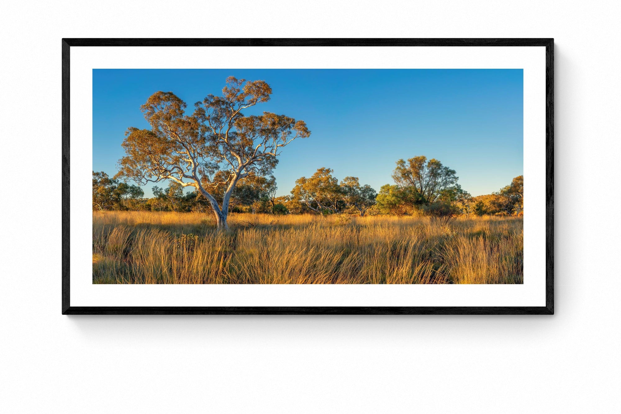 Miles - Framed Print - Tim Rainer Photography