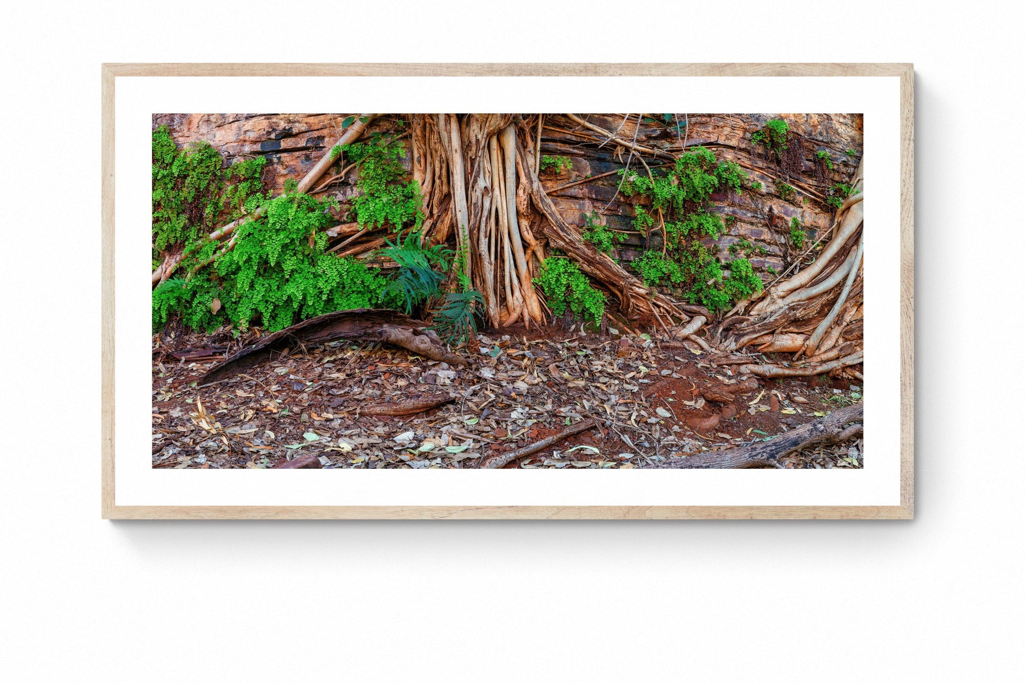 Kenzi - Framed Print - Tim Rainer Photography